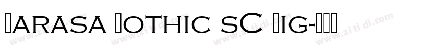 Sarasa Gothic sC Lig字体转换